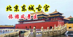 大鸡巴操性感暴露美女视频中国北京-东城古宫旅游风景区